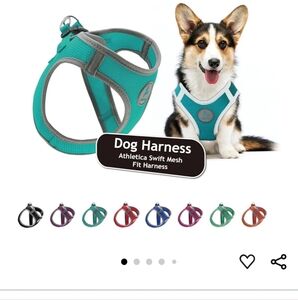 KRUZ Dog Harness - Teal and Gray